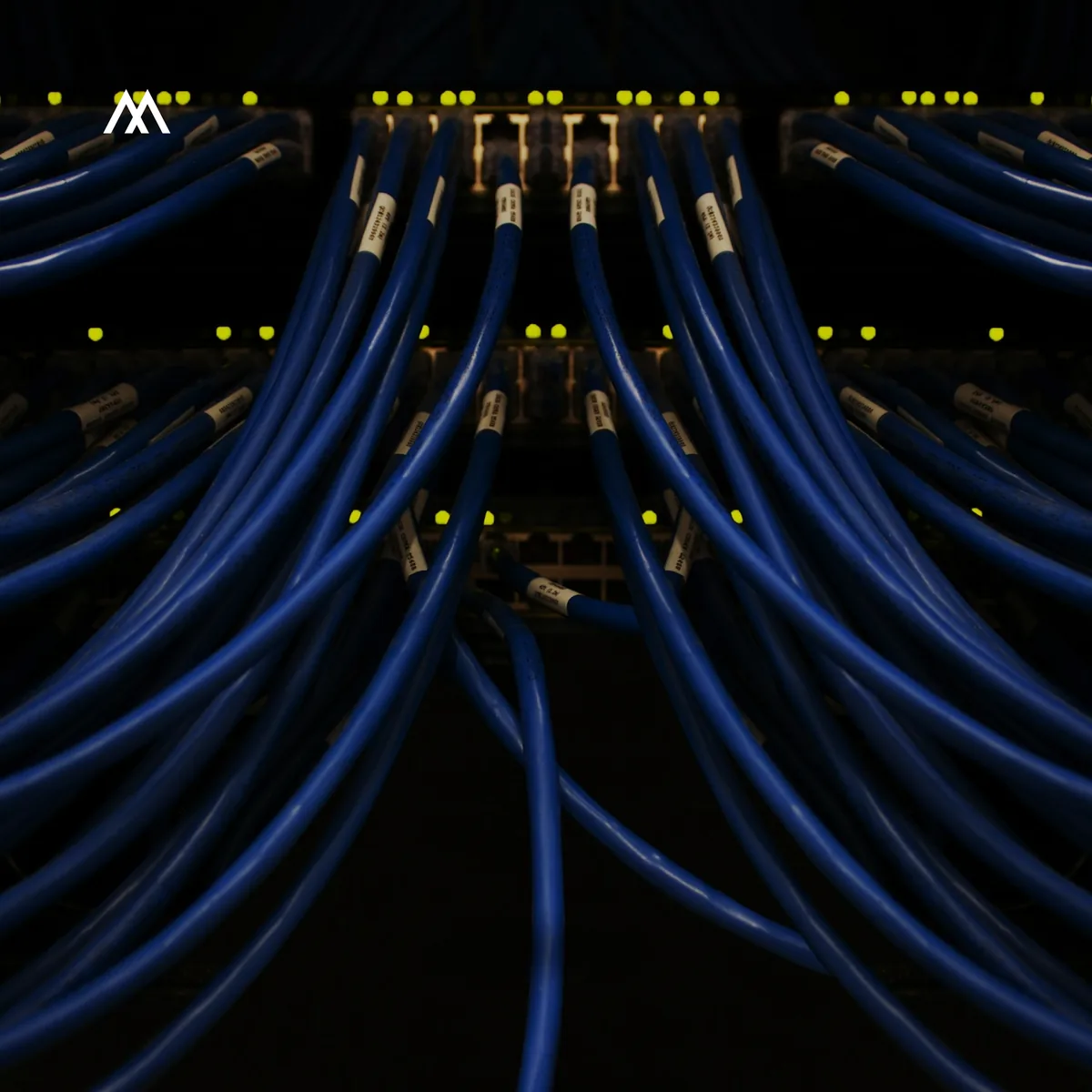 Cloud Management 101: How Your Tech Partner Ensures Smooth Operations in the Cloud